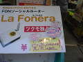 DSC04395.jpg